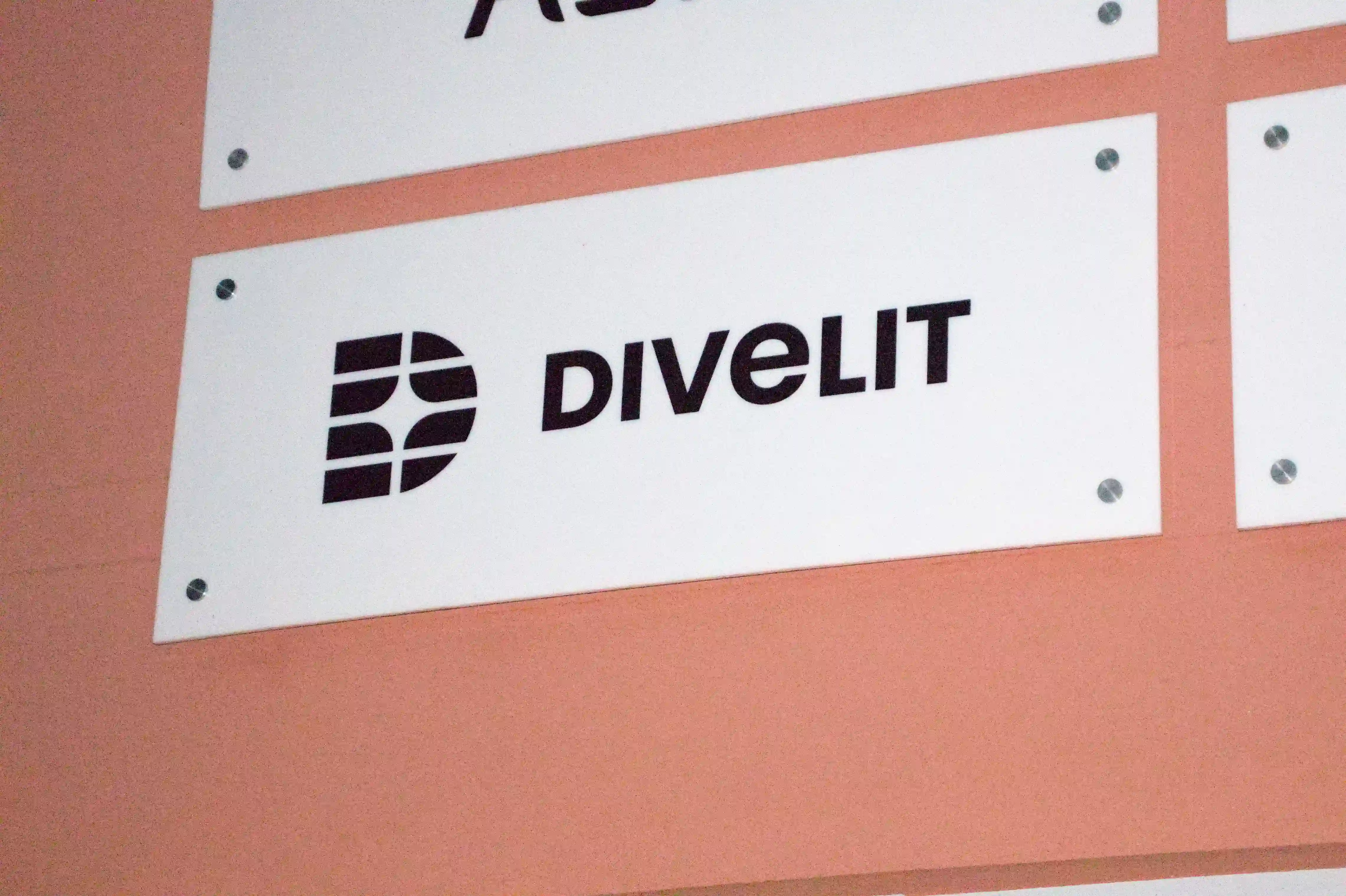 nové-divelit-logo